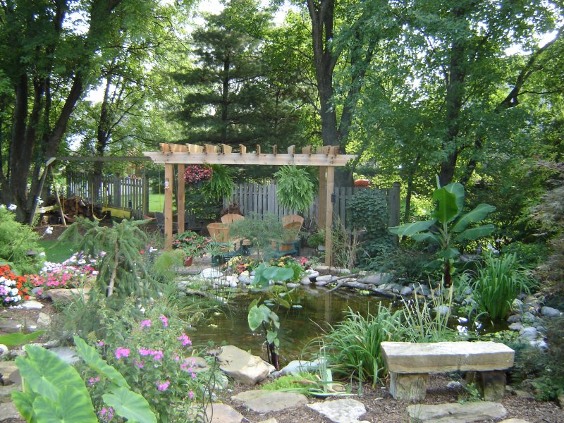 Read more about the article Landscape Design Starter Guide