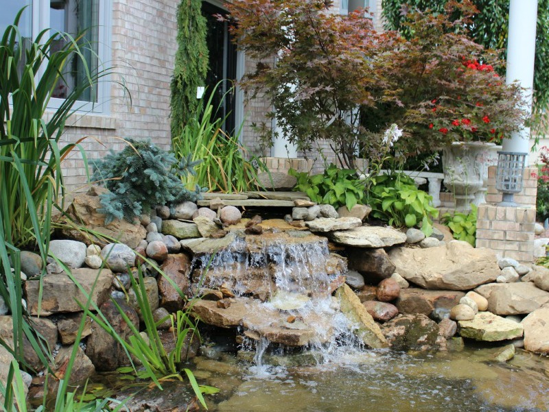 waterfalls in your backyard