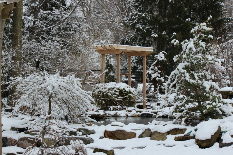 Read more about the article Tips on Creating A Beautiful Winter Landscape