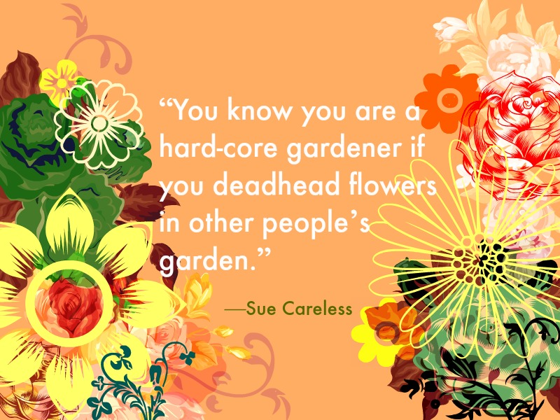 gardening quotes "you know you're a hard-core gardener when you dead head flowers in other people's garden." -Sue Careless