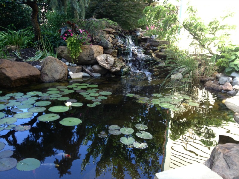 Read more about the article The Beauty of Landscape Water Features
