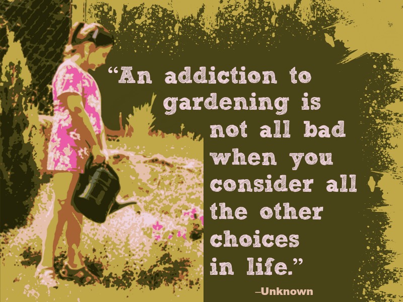 “An addiction to gardening is not all bad when you consider all the other choices in life.” –Unknown