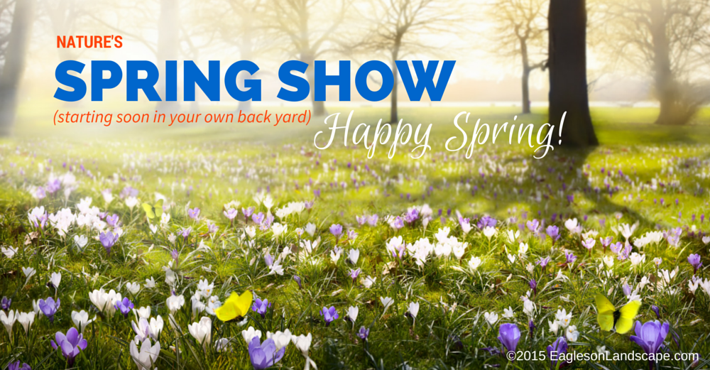 Read more about the article Happy Spring!