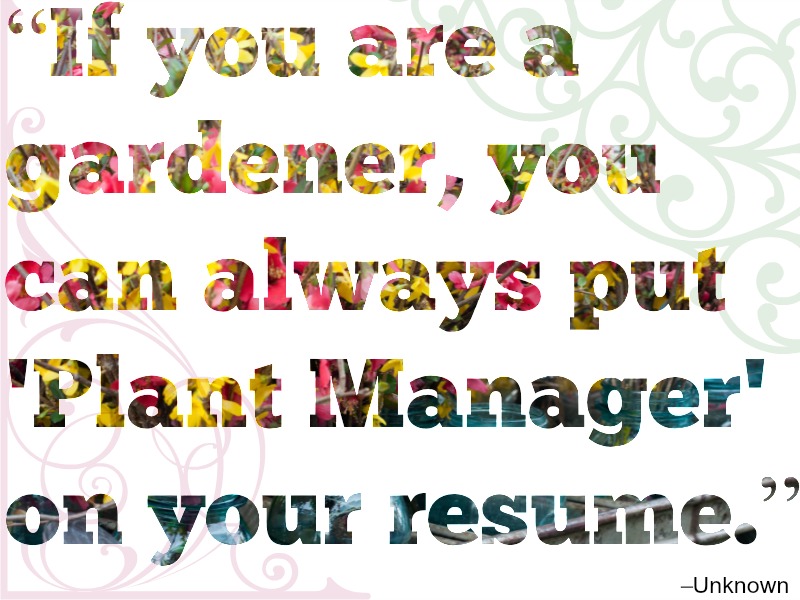 “If you are a gardener, you can always put 'Plant Manager' on your resume.” –Unknown, Flowering Wisdom | Gardening Quotes from Eagleson Landscape Co.