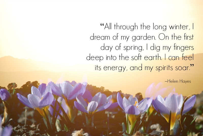 “All through the long winter, I dream of my garden. On the first day of spring, I dig my fingers deep into the soft earth. I can feel its energy, and my spirits soar.” –Helen Hayes