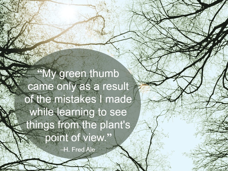 “My green thumb came only as a result of the mistakes I made while learning to see things from the plant's point of view.” –H. Fred Ale