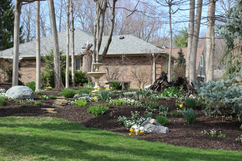 Read more about the article Creating a Spectacular Spring Garden