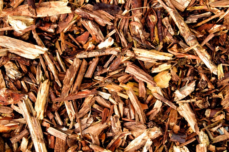 Read more about the article Spring Gardening Tip: The Benefits of Mulch