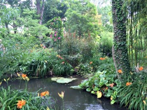 The calm creek of Monet's Japanese garden.