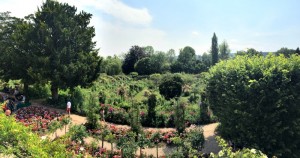 A view of Monet's Garden from the second story window of his home.