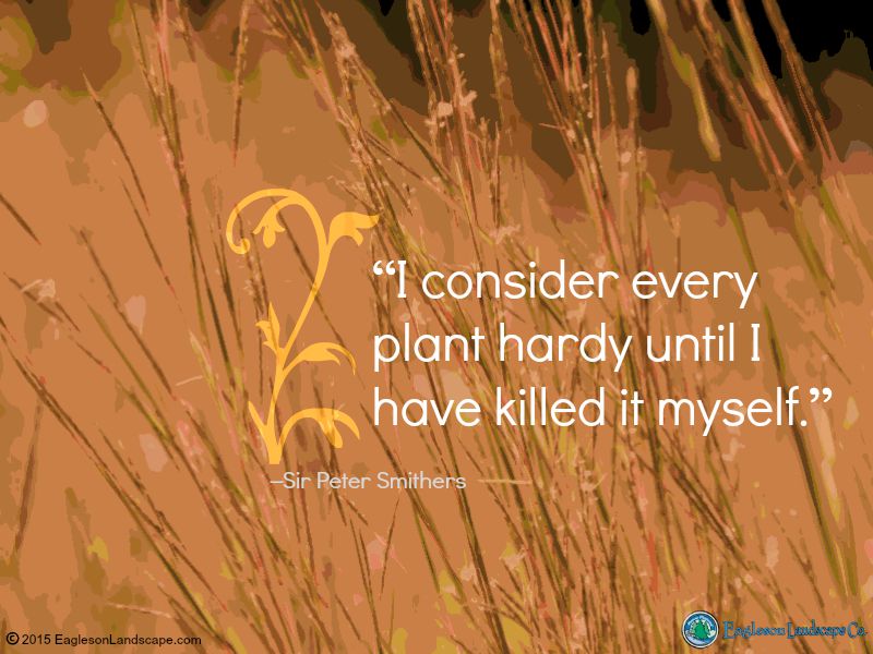 Flowering Wisdom | Gardening Quotes from Eagleson Landscape Co.