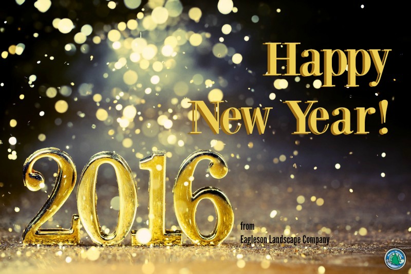 Happy New Year 2016