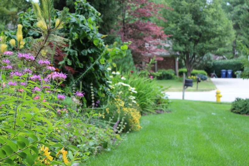 Read more about the article Safe Use of Pesticides on Your Landscape