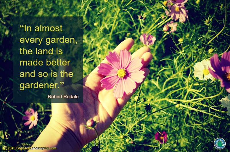 Read more about the article Flowering Wisdom | Gardening Quotes
