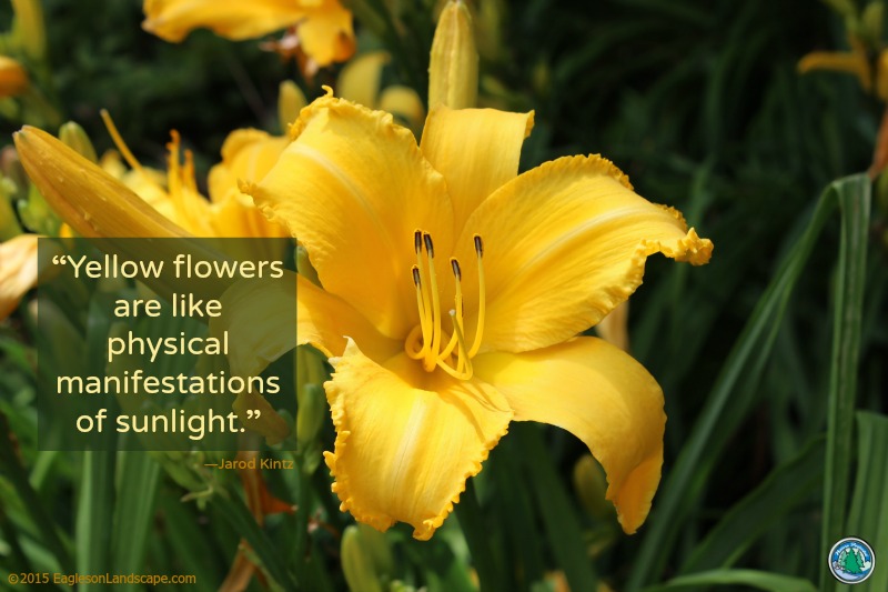 Flowering Wisdom | Gardening Quotes from Eagleson Landscape Co.