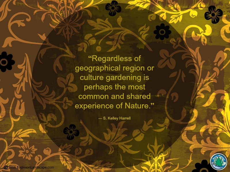 Flowering Wisdom | Gardening Quotes | Zionsville Landscaping