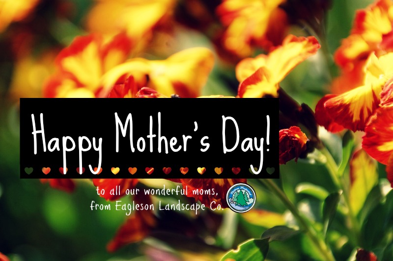 Read more about the article Happy Mother’s Day!