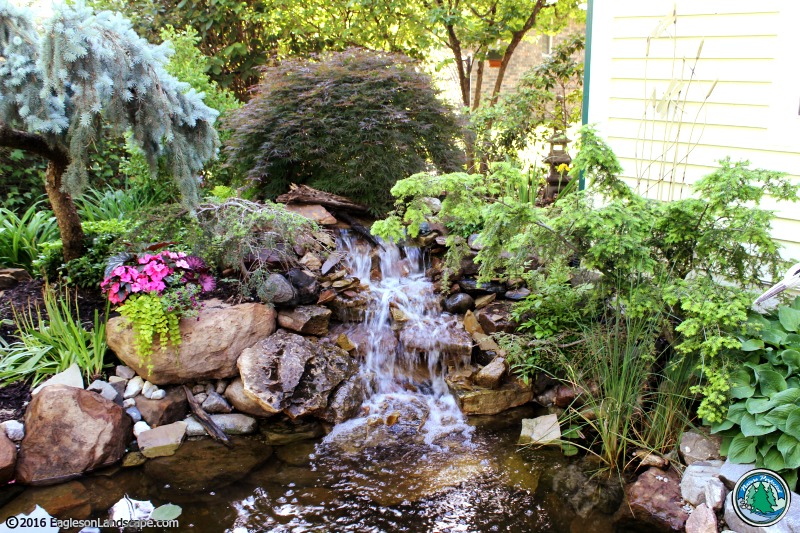 Read more about the article The Beauty of Waterfalls In Your Backyard