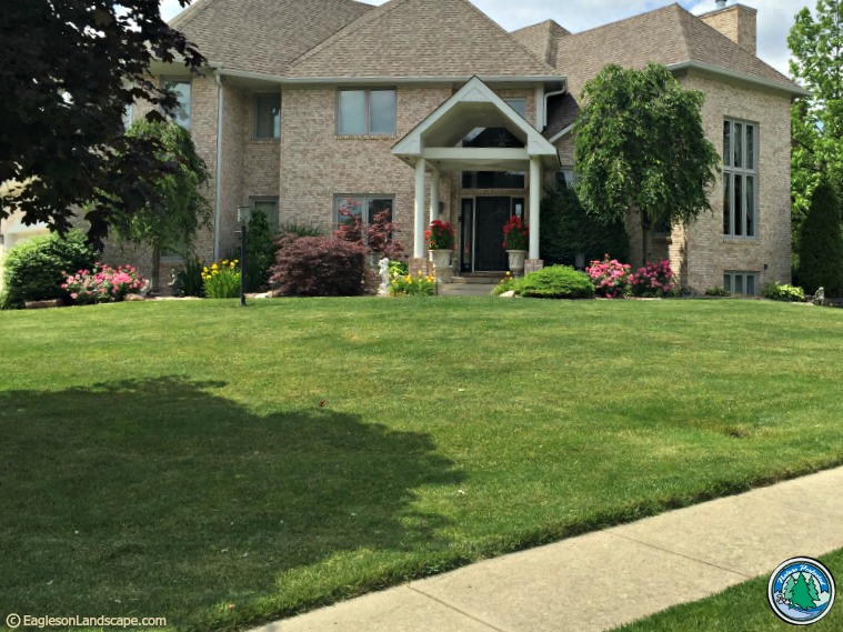 Read more about the article Lawn Maintenance Tips