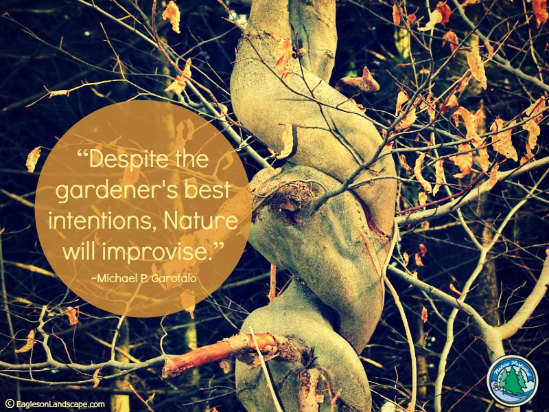 Read more about the article Flowering Wisdom | Gardening Quotes
