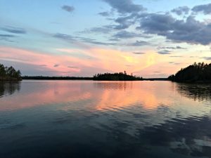 The sunsets from Northern Minnesota are the inspiration for this weeks Plant of the Week!
