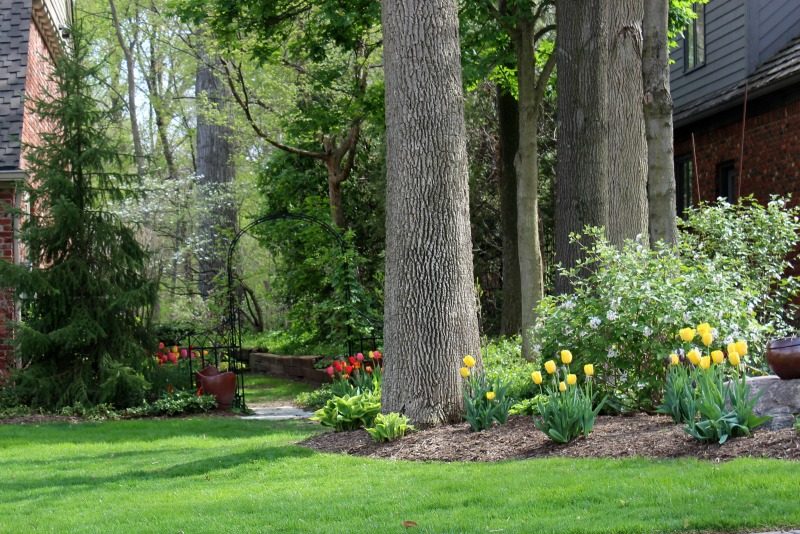 Read more about the article What Landscape Maintenance Means to Eagleson Landscape Co.