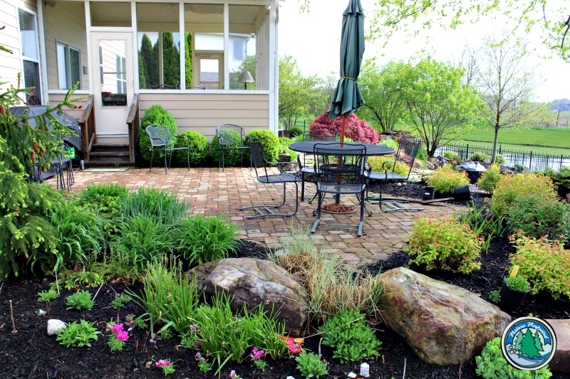 Slowly Growing Outdoor Living Space | patio