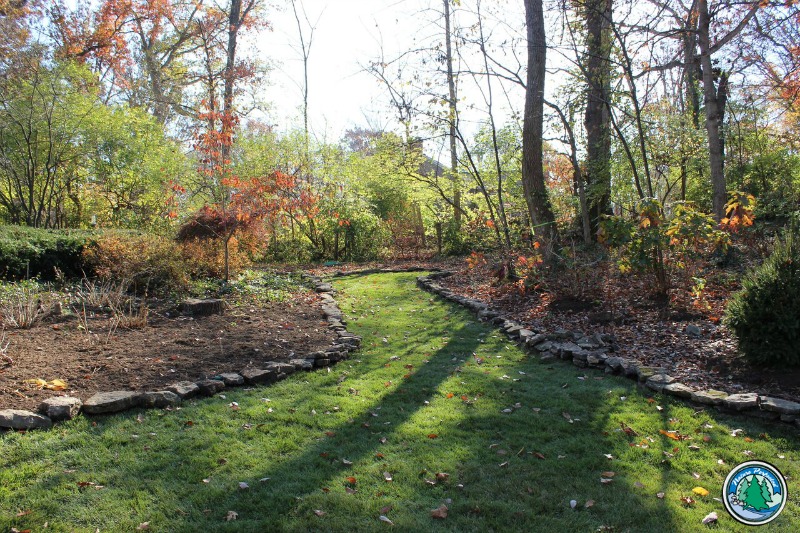 Project Highlight | Lifecycle Landscape Designs