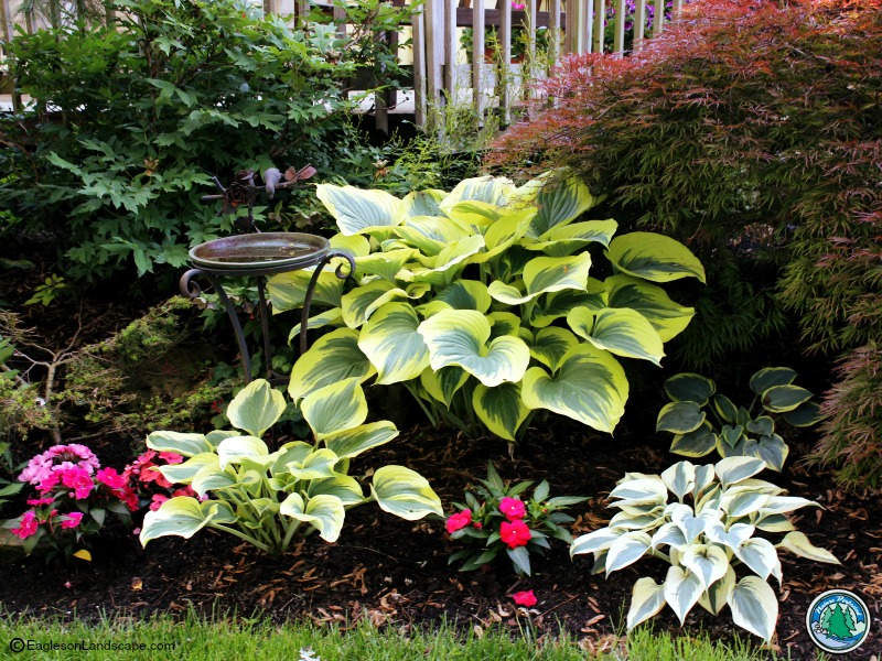 Read more about the article How to Properly Set Up a Landscape Design