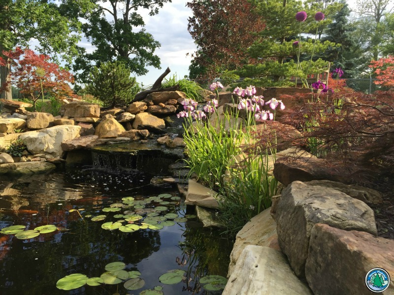 Read more about the article The Eagleson Landscaping Yard: Labor of Love
