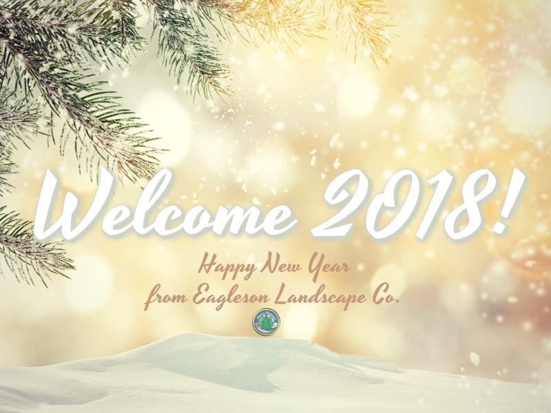 Read more about the article Happy New Year from Eagleson Landscape Co.