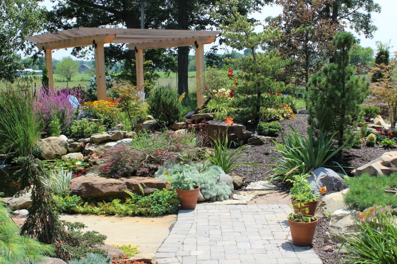 Read more about the article Tips for Maintaining Your Landscape Investment