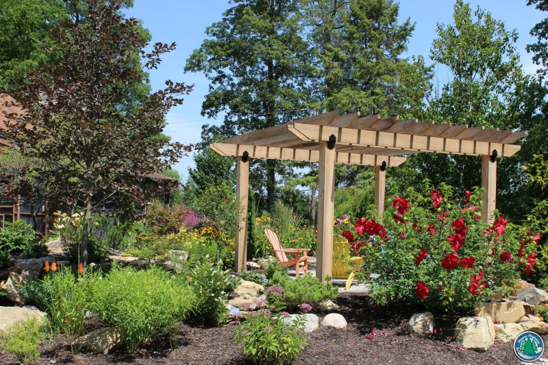 Read more about the article Using Arbors in a Landscape