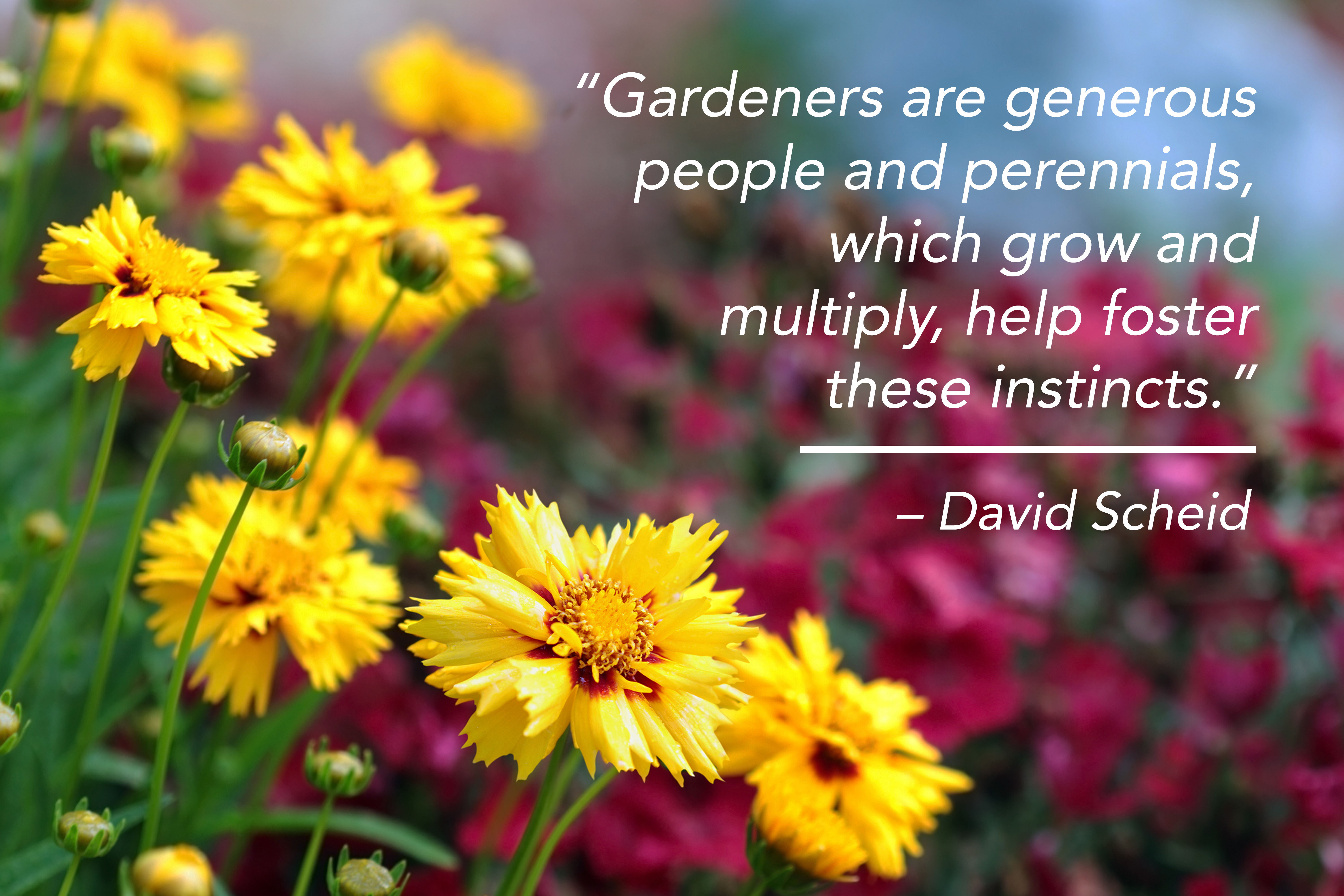 Gardening Quotes