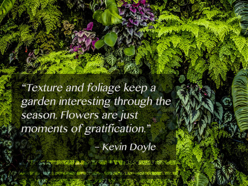 Read more about the article Flowering Wisdom | Gardening Quotes from Eagleson Landscape