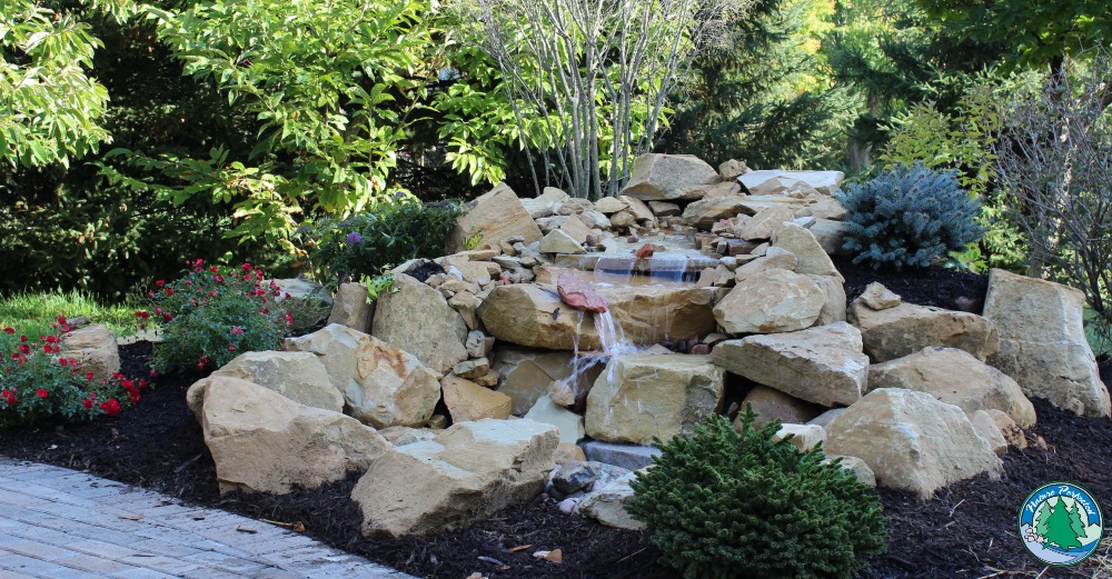 Read more about the article Project Highlight: Implementing a Landscaping Master Plan