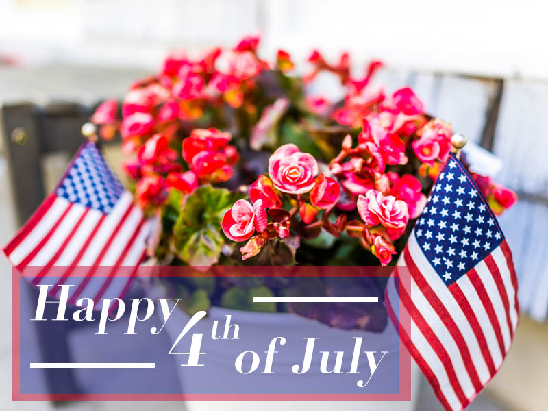 Read more about the article Happy 4th of July from Eagleson Landscape Co