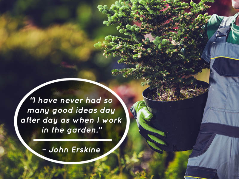 Read more about the article Flowering Wisdom | Gardening Quotes from Eagleson Landscape Co.