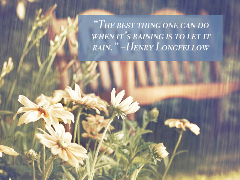 Read more about the article Flowering Wisdom | Gardening Quotes from Eagleson Landscape Co