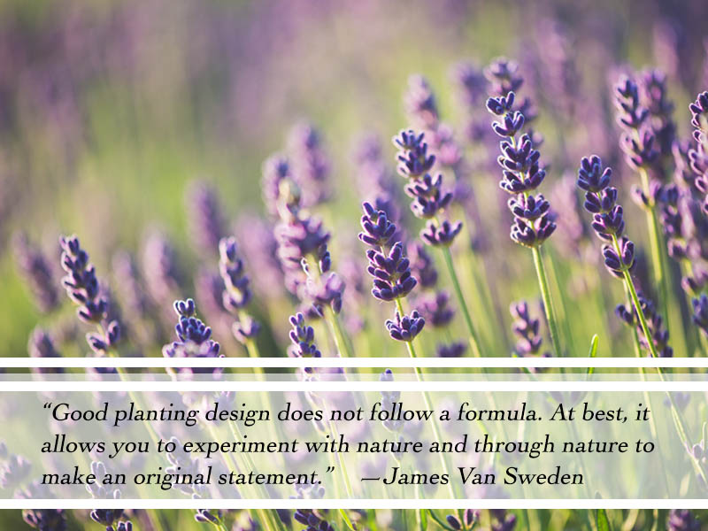 Read more about the article Flowering Wisdom | Gardening Quotes from Eagleson Landscape Co