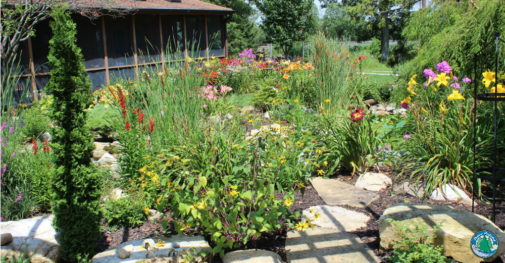 Read more about the article Creating a Summer Perennial Garden Plan