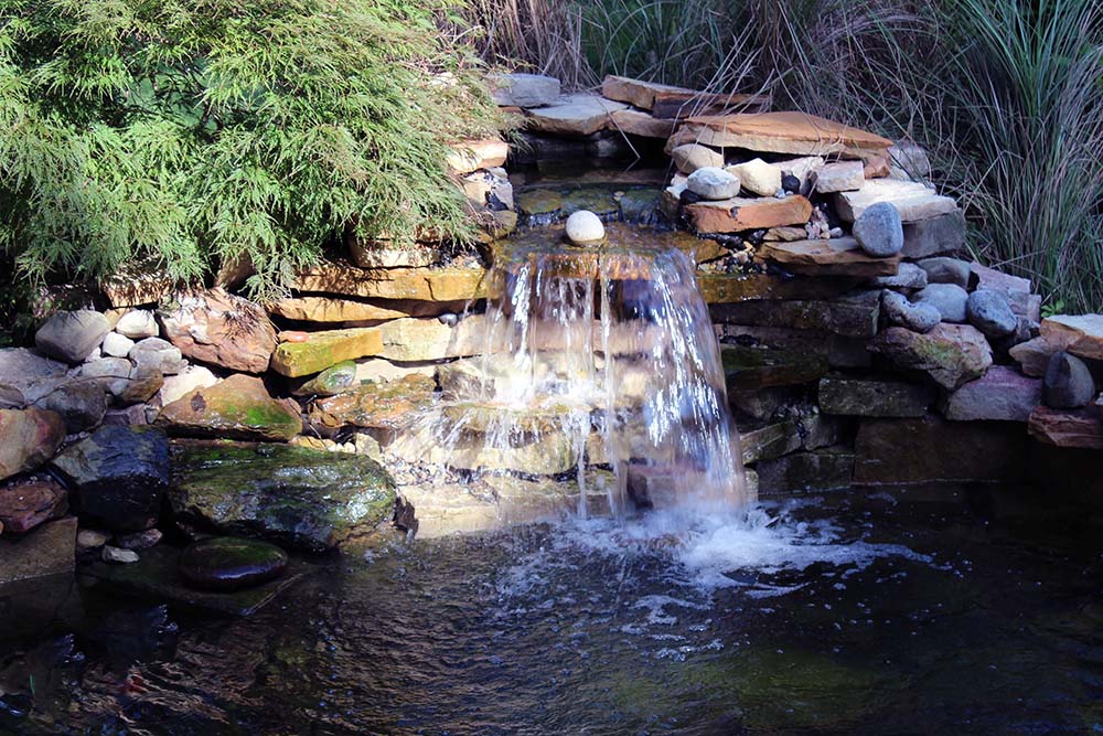 Image of waterfall on a koi pond built by Eagleson Meadows