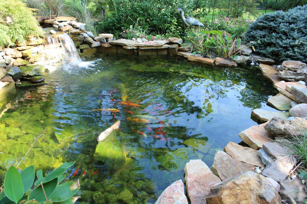 image of koi pond that Eagleson Meadows rebuilt
