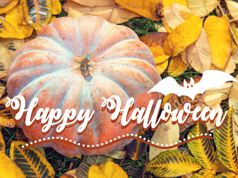 Read more about the article Happy Halloween from Eagleson Landscape Co