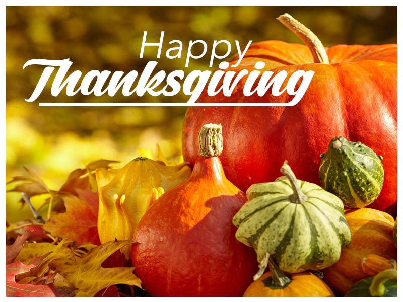 Read more about the article Happy Thanksgiving From Eagleson Landscape Co.