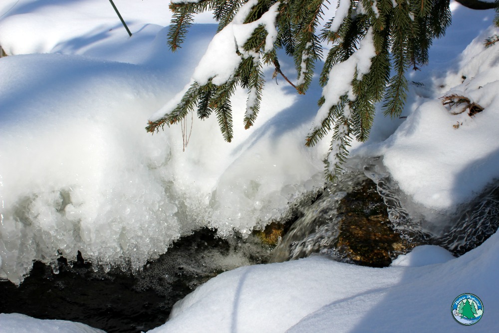 Read more about the article Snow Removal: How To Not Destroy Your Landscape