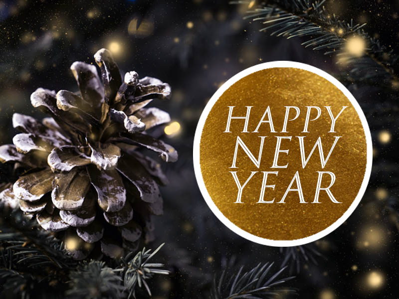 Read more about the article Happy New Year from Eagleson Landscape Co