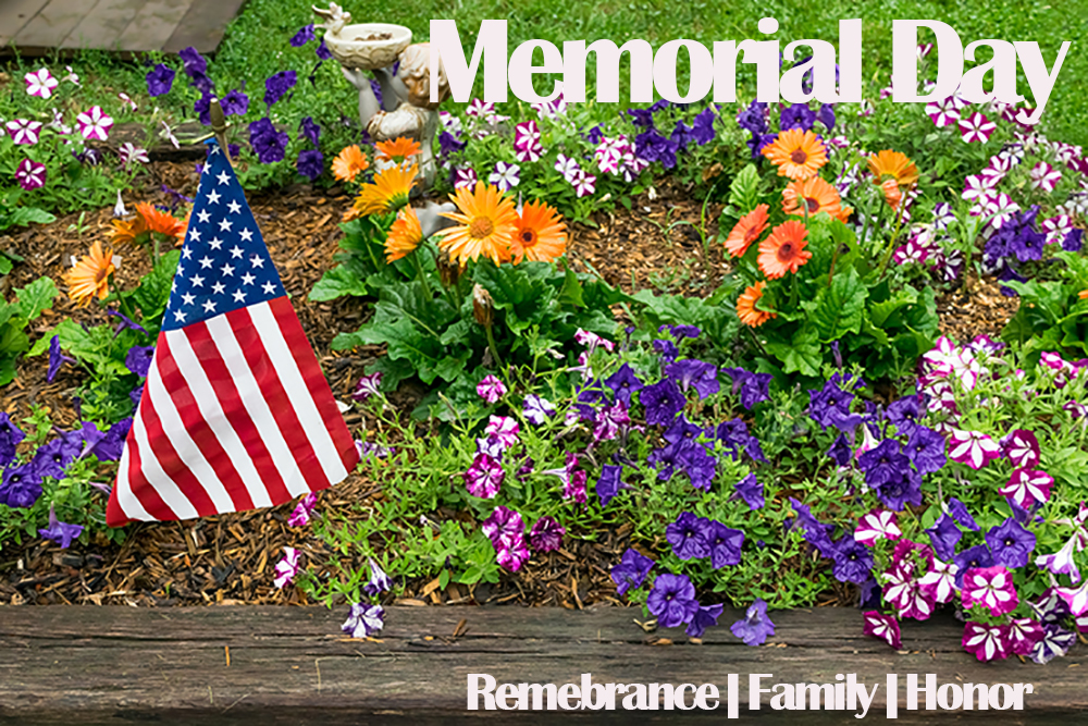 Read more about the article Celebrating Memorial Day