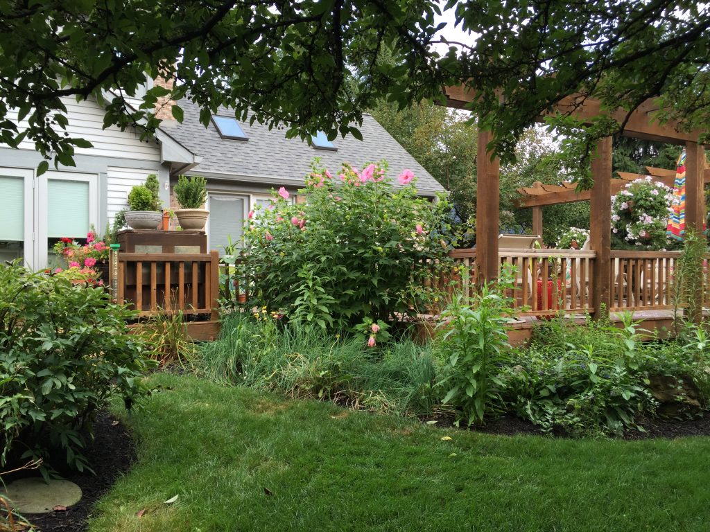Read more about the article A 30+ Year Landscape Maintenance Project