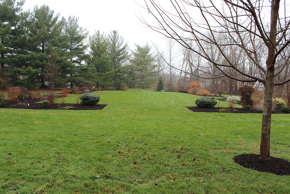 Read more about the article A Hoosier English Landscape Design